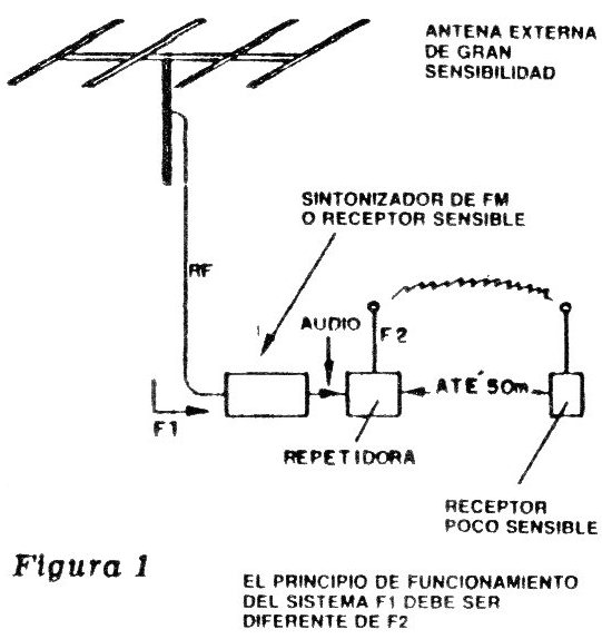 Figura 1
