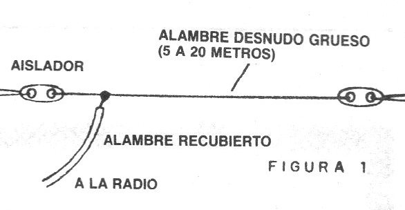 Figura 1
