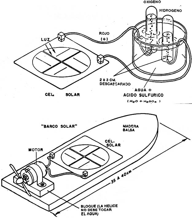 Figura 6 
