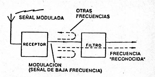 Figura 4
