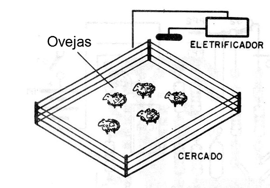 Figura 1 - Uso del aparato en un pasto
