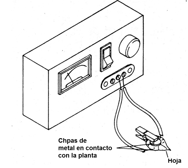    Figura 3 - Detectando actividad eléctrica de plantas
