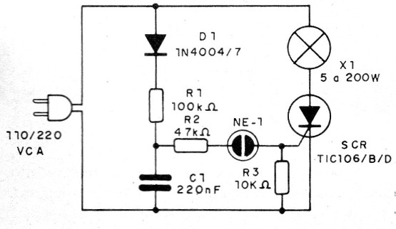    Figura 4 - Circuito completo
