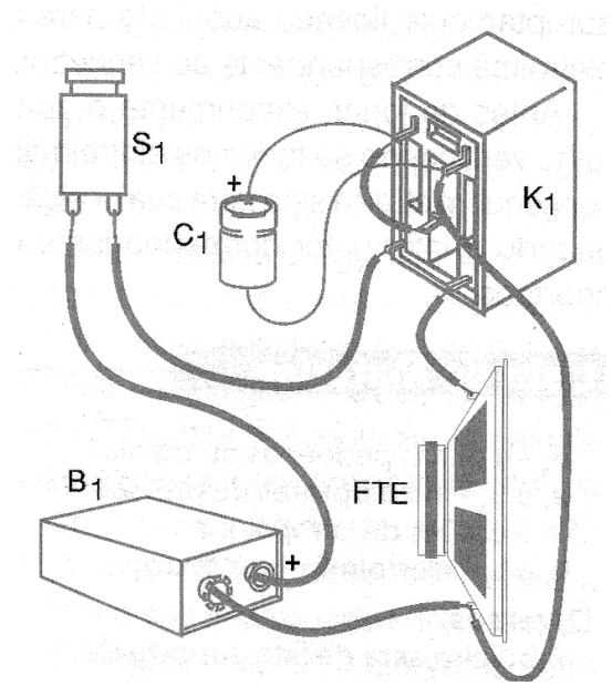 Figura 2 - Circuito y componentes interconectados directamente
